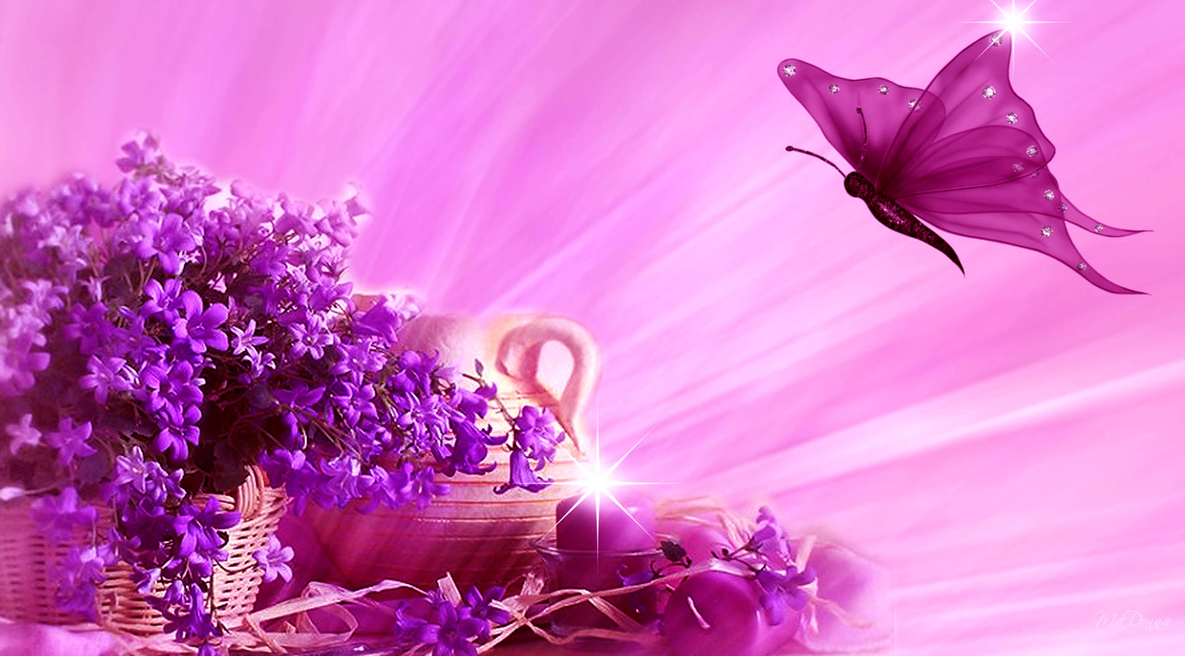 butterfly with flowers wallpapers,violet,purple,petal,pink,flower