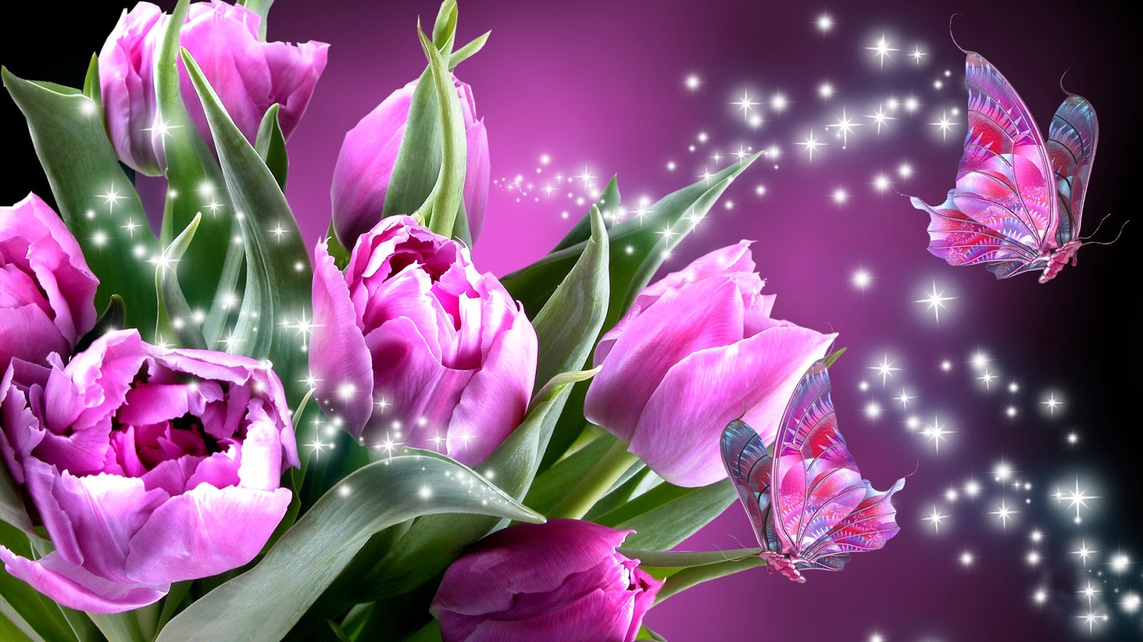 butterfly with flowers wallpapers,flower,flowering plant,petal,pink,plant