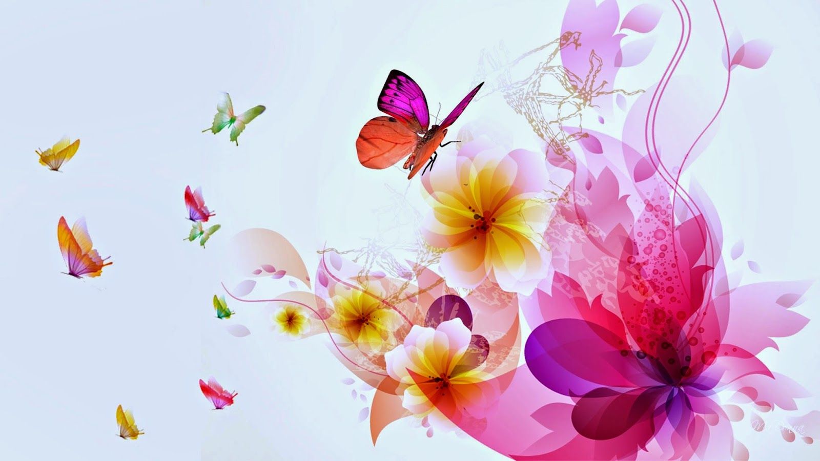 sfondi farfalla con fiori,la farfalla,petalo,fiore,falene e farfalle,pianta