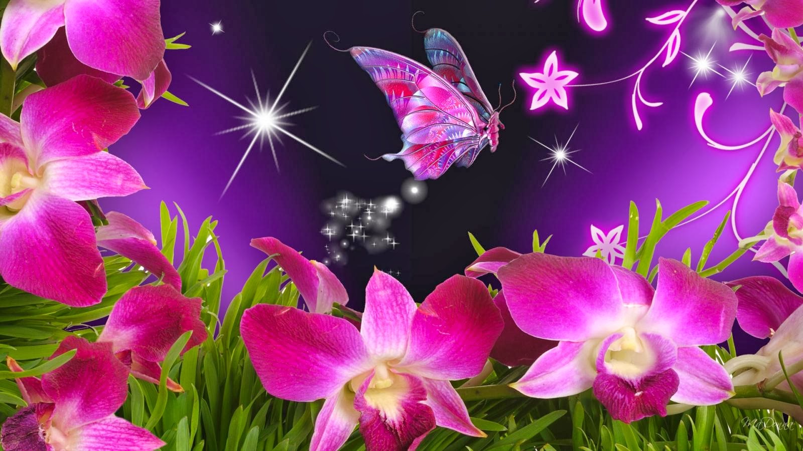 butterfly with flowers wallpapers,butterfly,flower,petal,pink,purple
