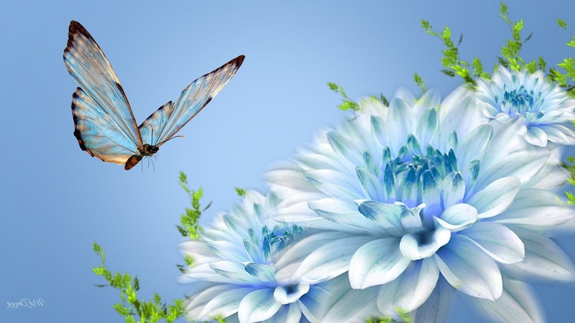 papillon avec des fleurs fonds d'écran,bleu,papillon,papillons et papillons,insecte,bleu commun