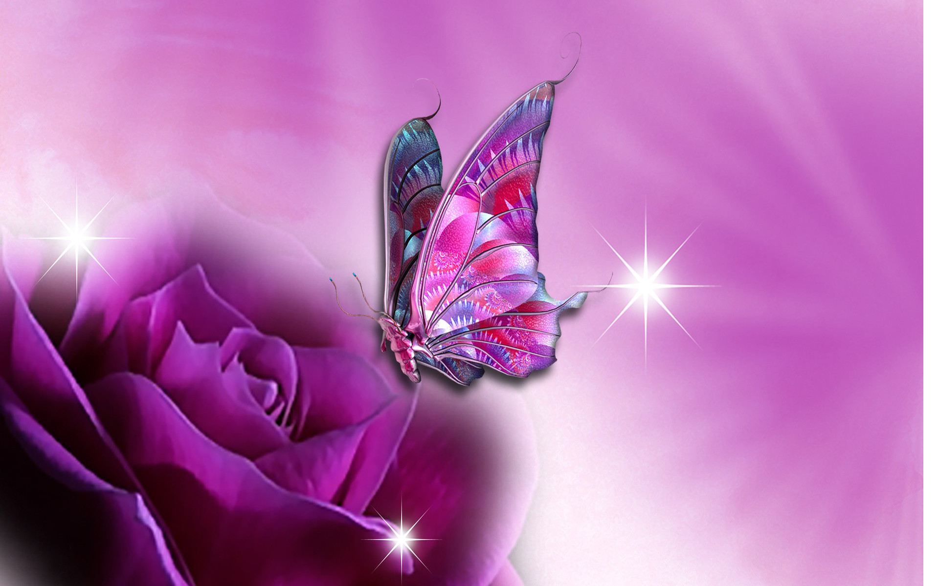butterfly with flowers wallpapers,pink,purple,butterfly,insect,violet