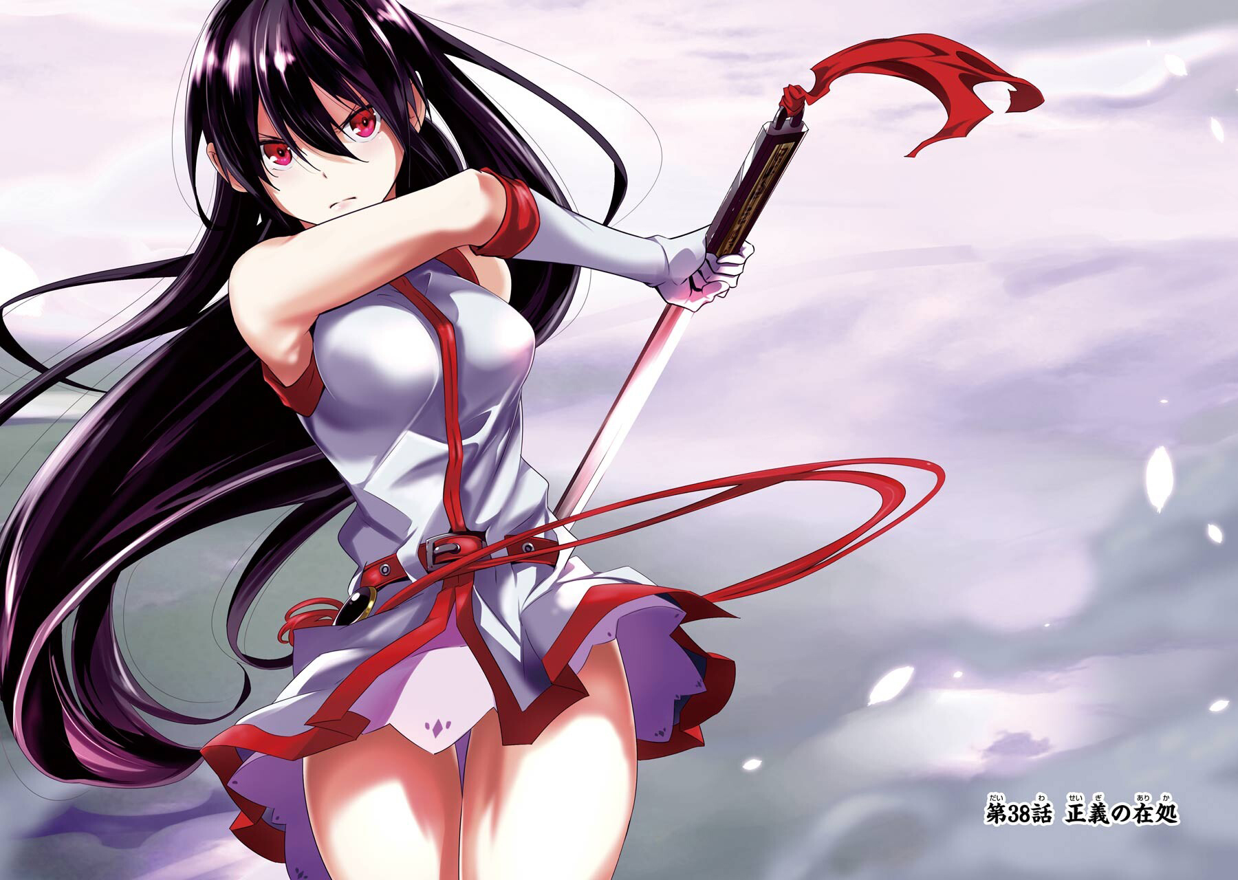 akame wallpaper,cg artwork,cartoon,anime,black hair,long hair