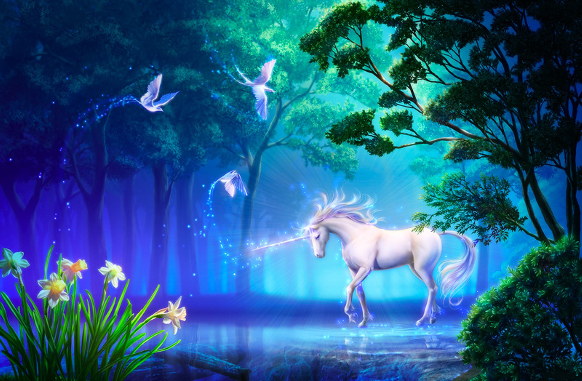 fond d'écran licorne hd,licorne,personnage fictif,créature mythique,paysage naturel,lumière