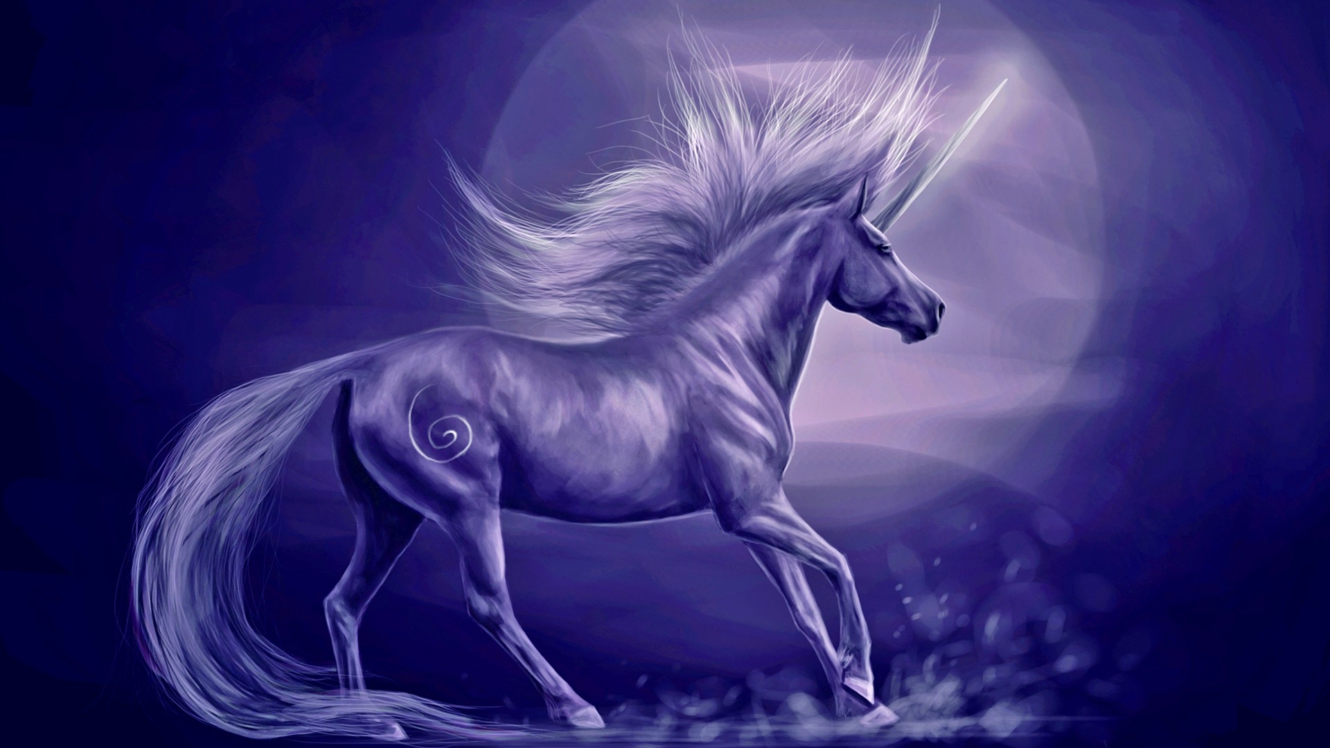 unicorn wallpaper hd,horse,fictional character,sky,mane,mythical creature
