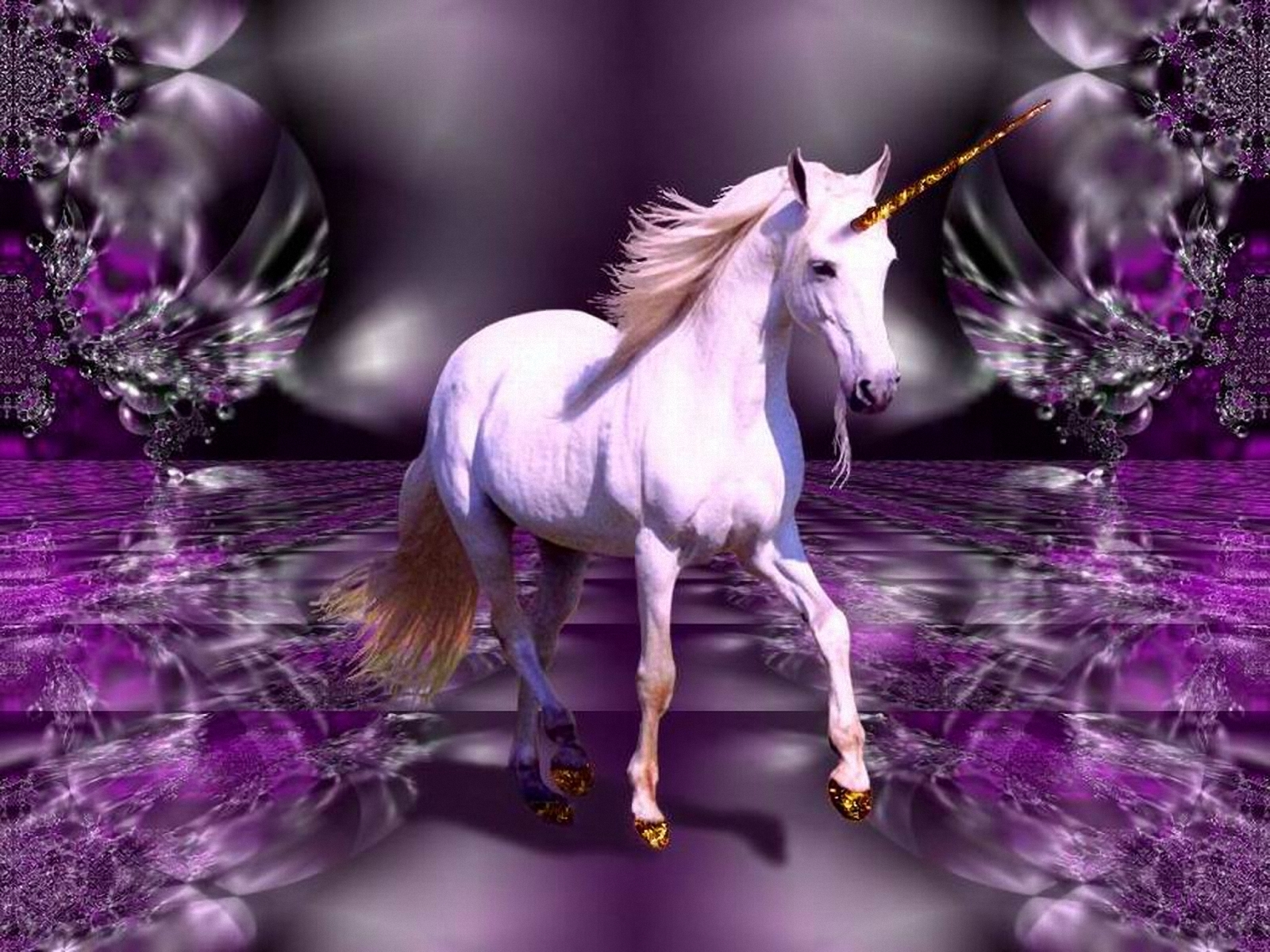 fond d'écran licorne hd,licorne,violet,personnage fictif,lavande,créature mythique