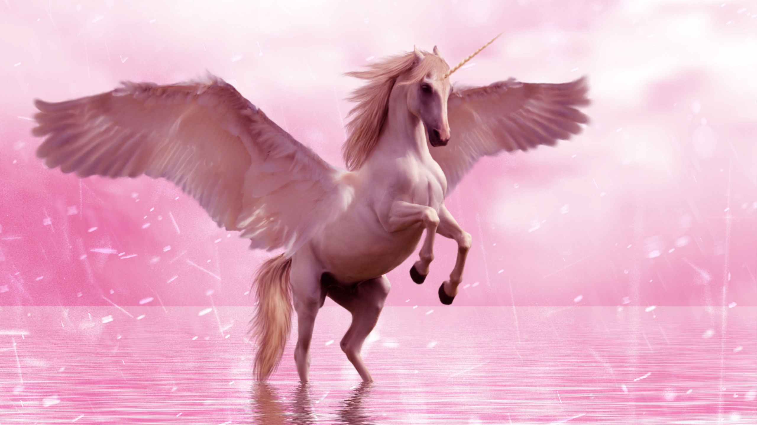 unicorno wallpaper hd,rosa,ala,personaggio fittizio,cielo,uccello