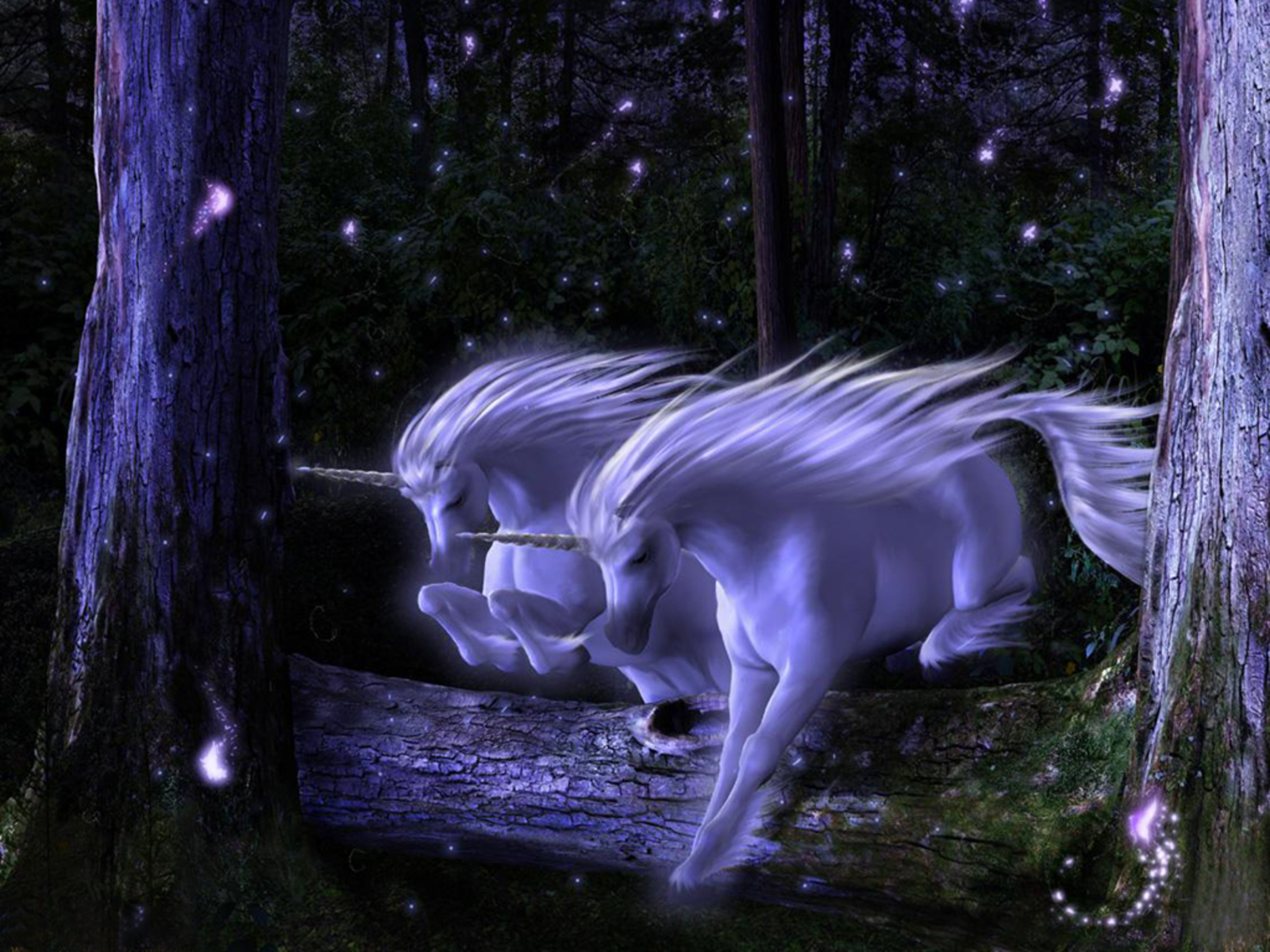 fond d'écran licorne hd,licorne,personnage fictif,créature mythique,arbre,faune