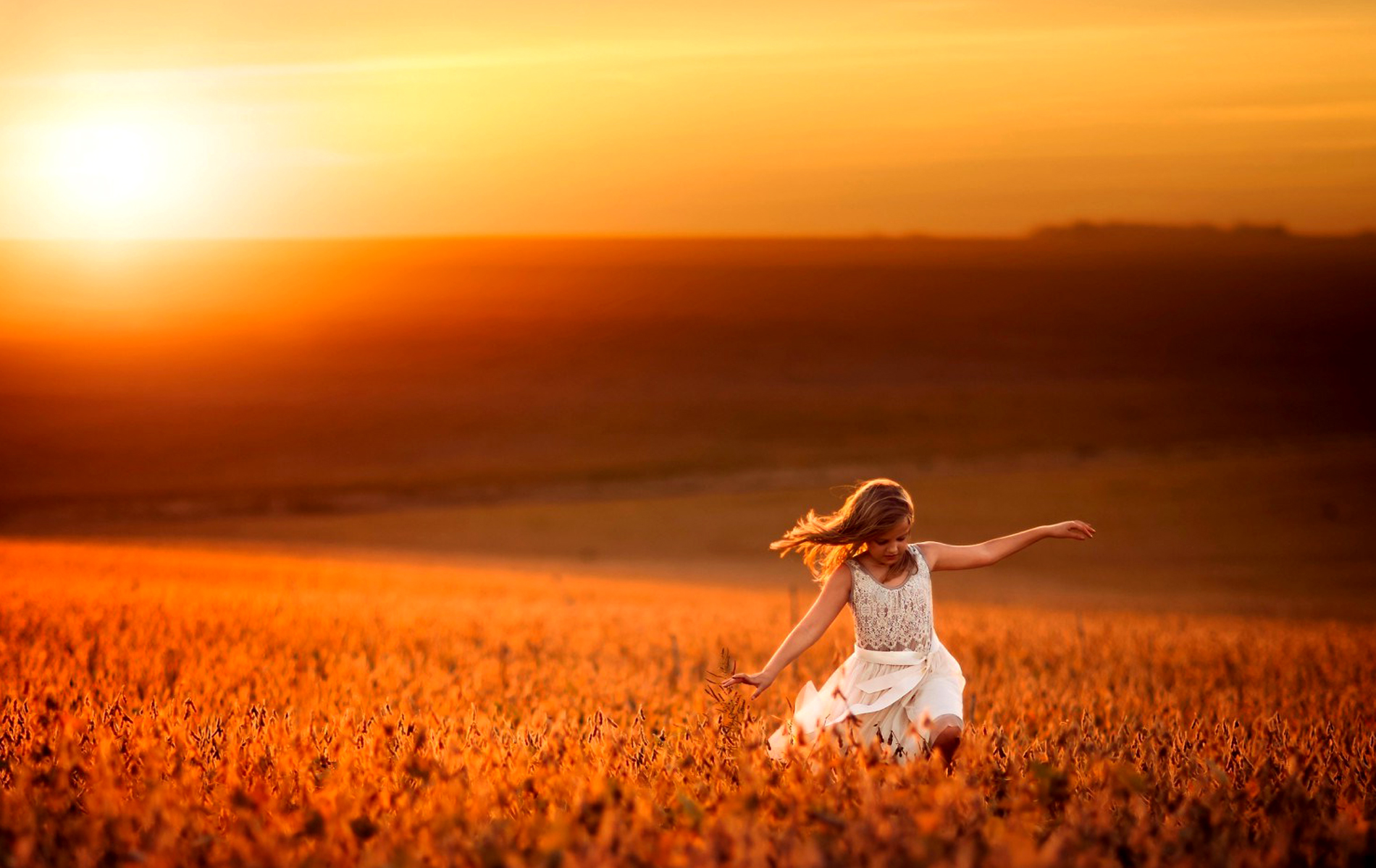 www hd wallpaper download,people in nature,sky,nature,field,orange