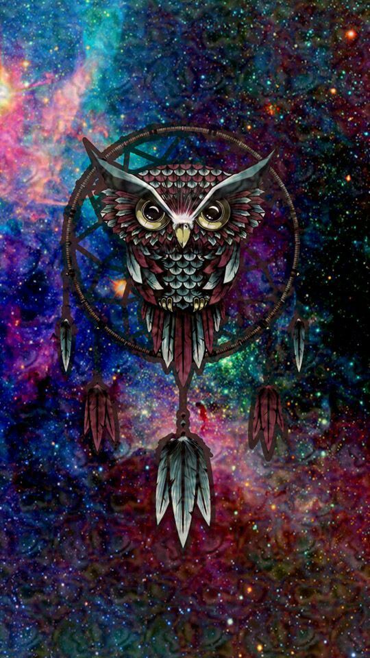 wallpapers hipster,owl,illustration,art,fictional character,psychedelic art