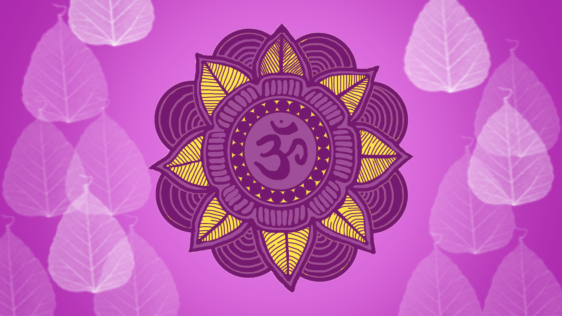 mandala wallpaper hd,viola,viola,rosa,modello,lilla