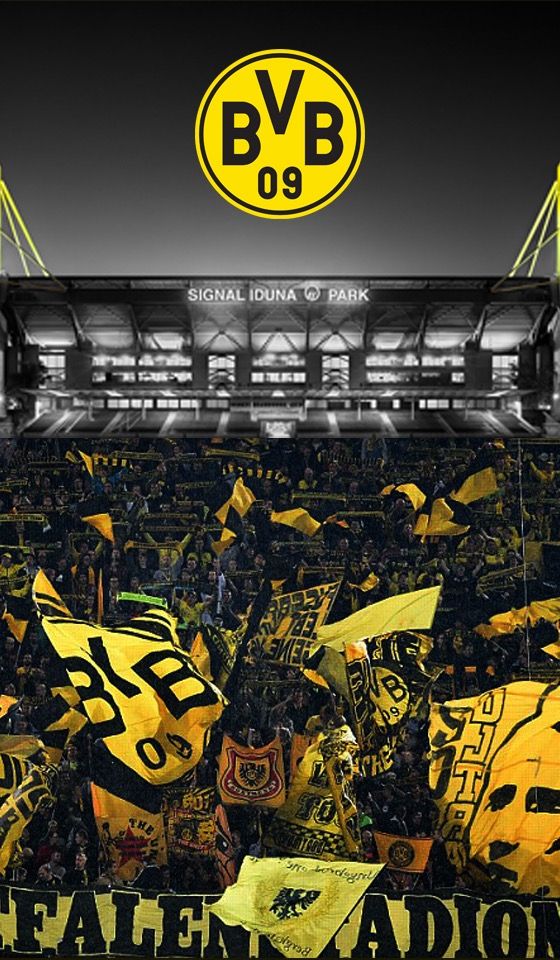 borussia dortmund wallpaper,yellow,product,font,sport venue,fan