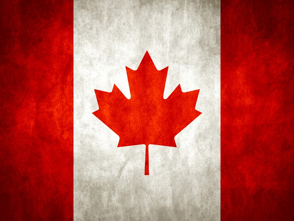 canada flag wallpaper,red,maple leaf,leaf,tree,flag