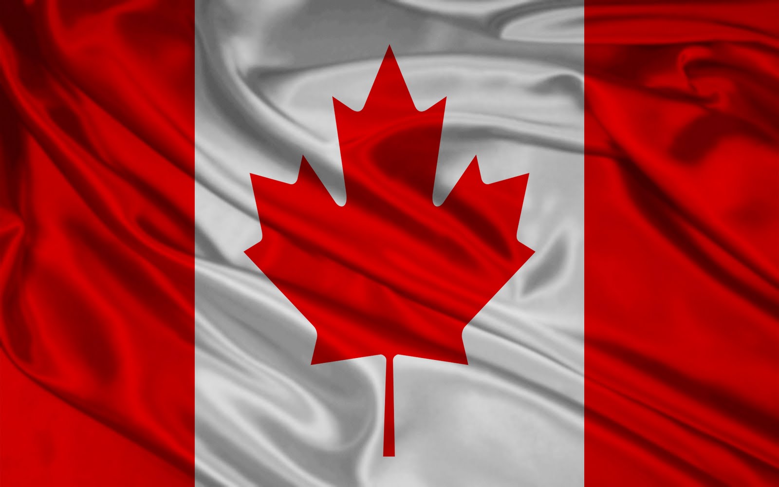 カナダの旗の壁紙,赤,カエデの葉,木,葉,国旗
