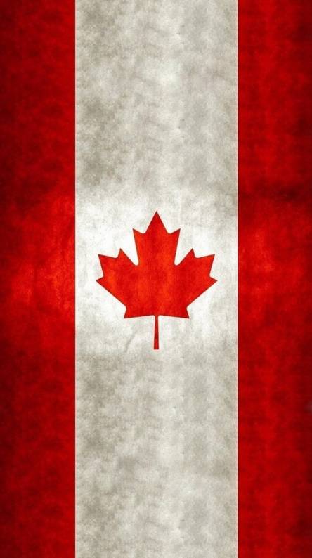 canada flag wallpaper,red,maple leaf,flag,tree,leaf