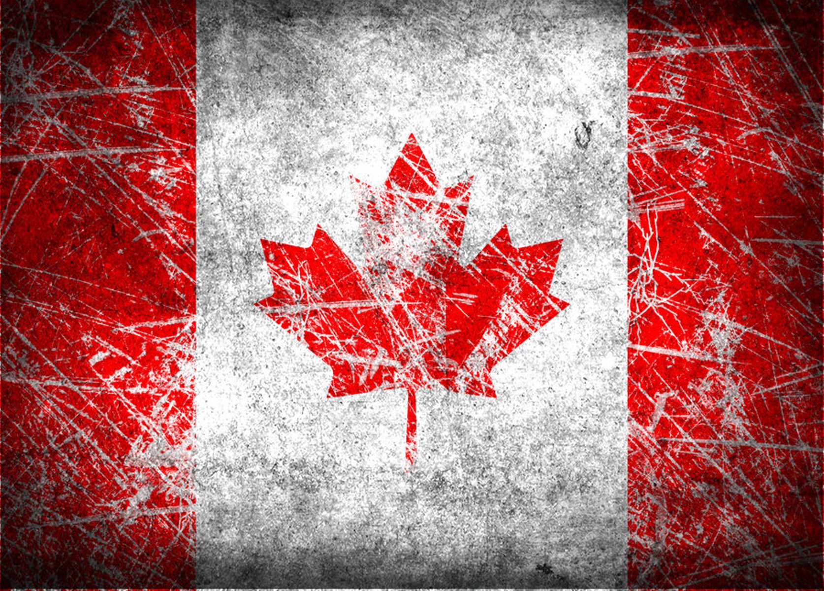 캐나다 국기 벽지,빨간,깃발,본문,폰트,나무