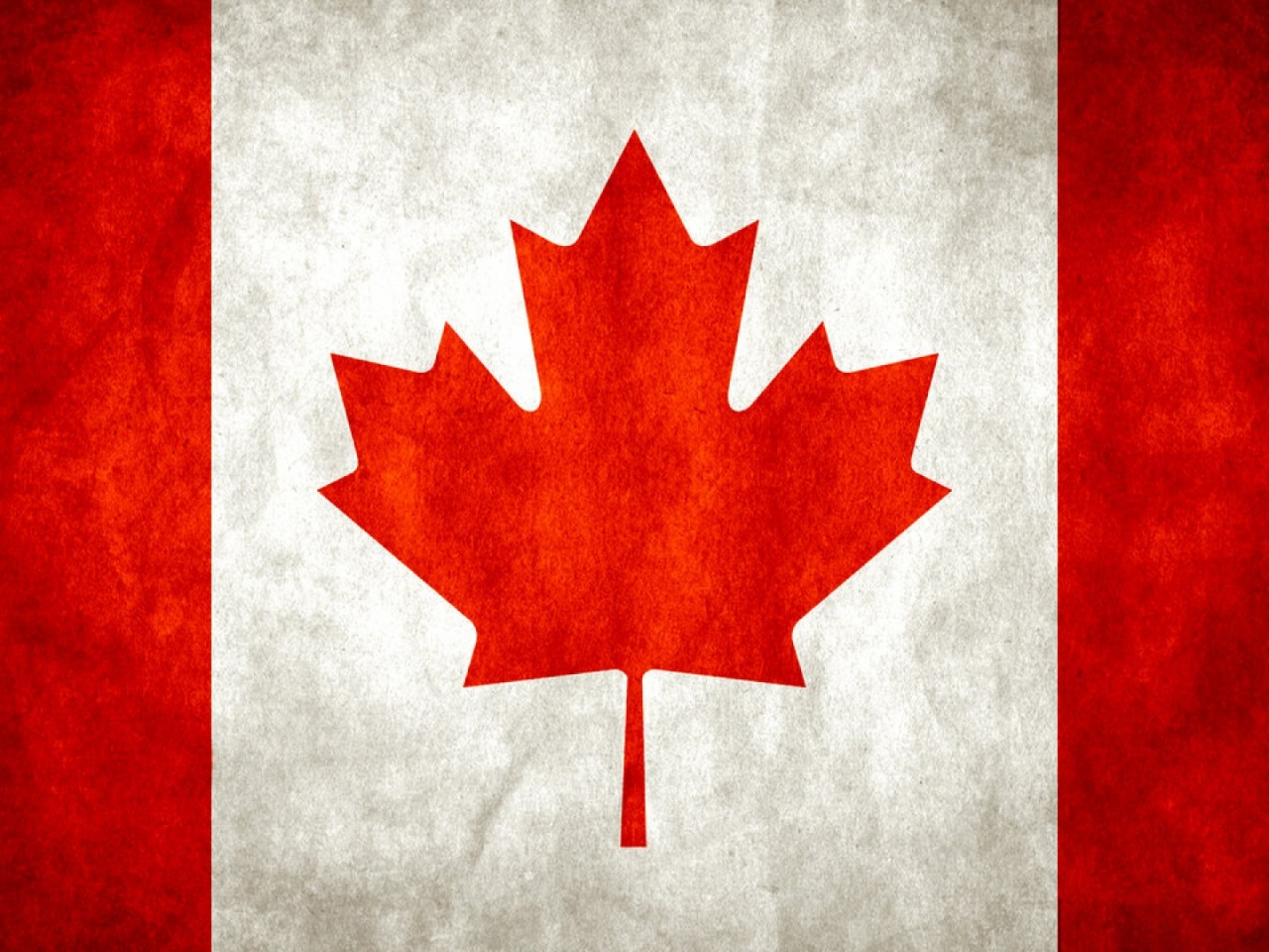 캐나다 국기 벽지,단풍잎,빨간,잎,나무,깃발