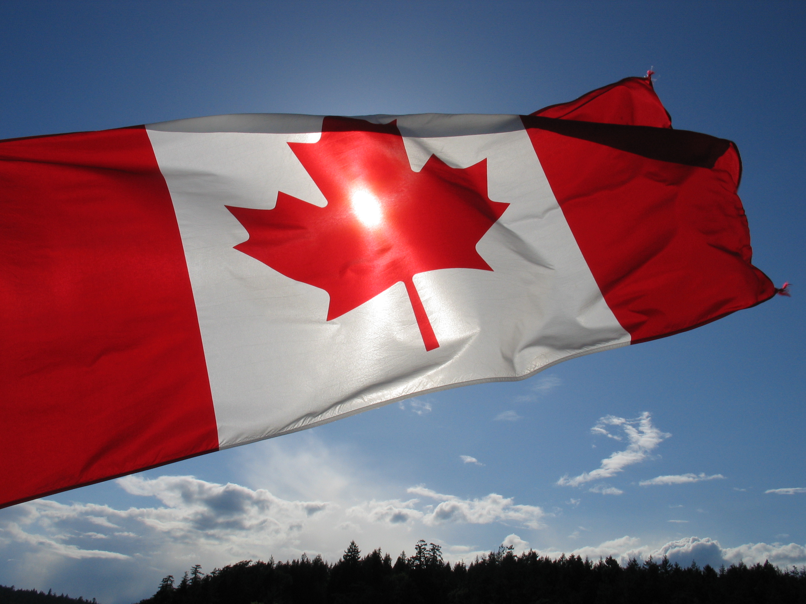 カナダの旗の壁紙,国旗,空,赤,雲,木