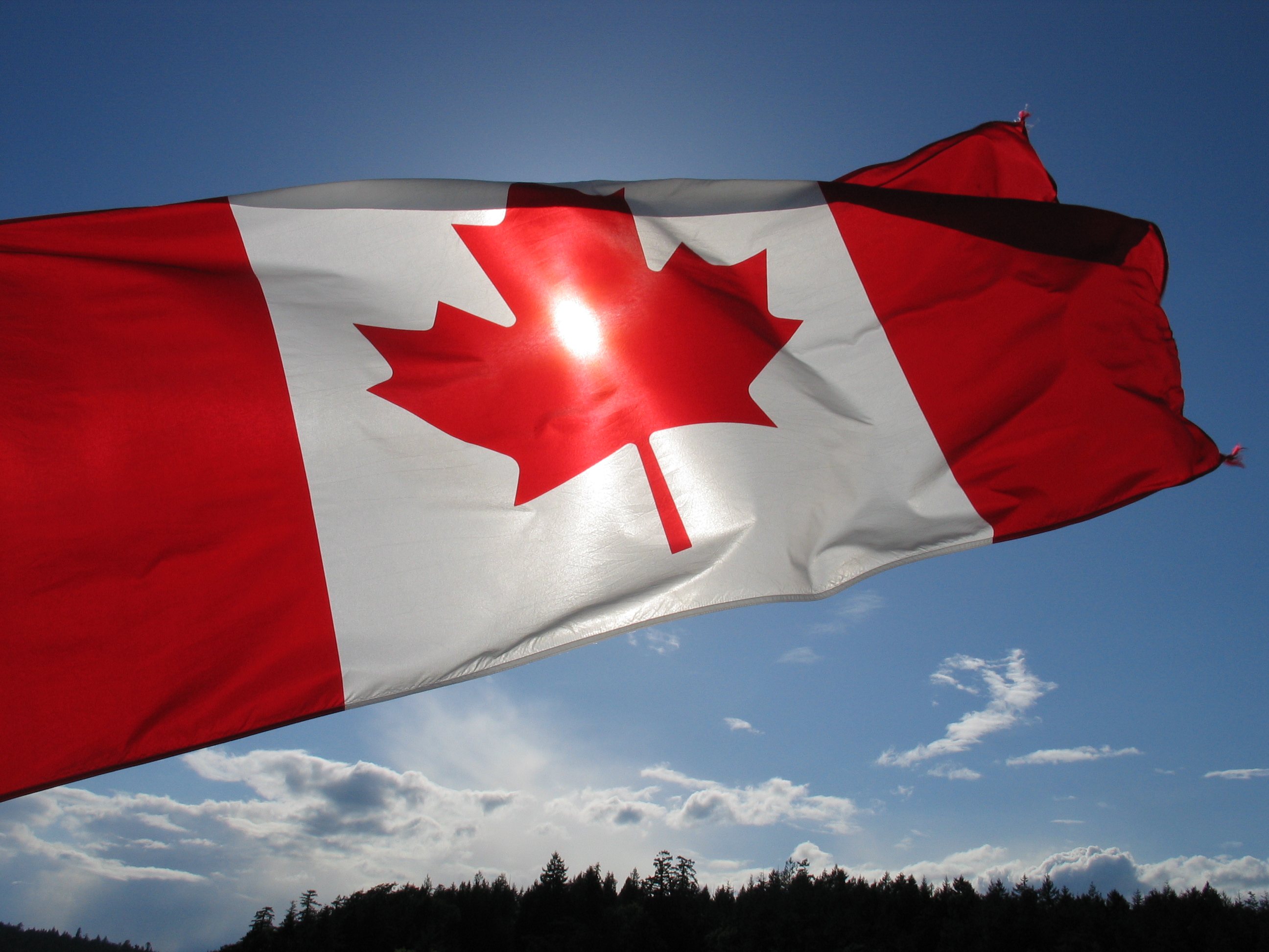 papier peint du drapeau du canada,drapeau,ciel,rouge,nuage,arbre