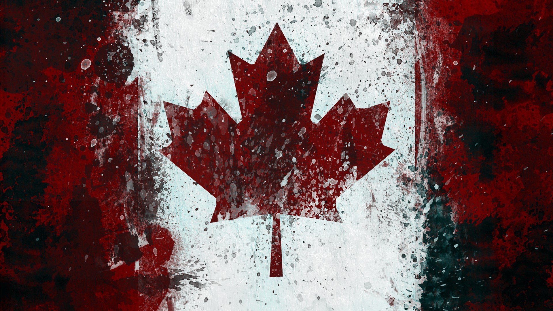 캐나다 국기 벽지,빨간,잎,단풍잎,나무,깃발