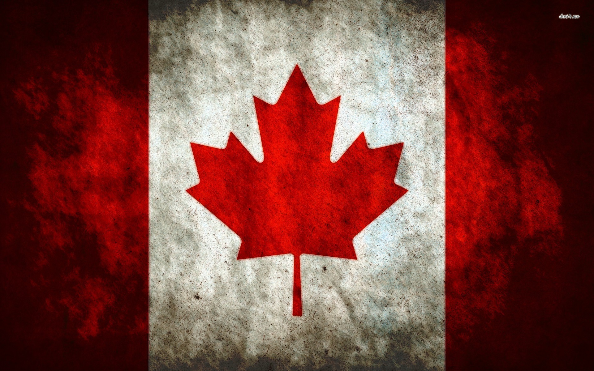 カナダの旗の壁紙,赤,カエデの葉,葉,木,国旗