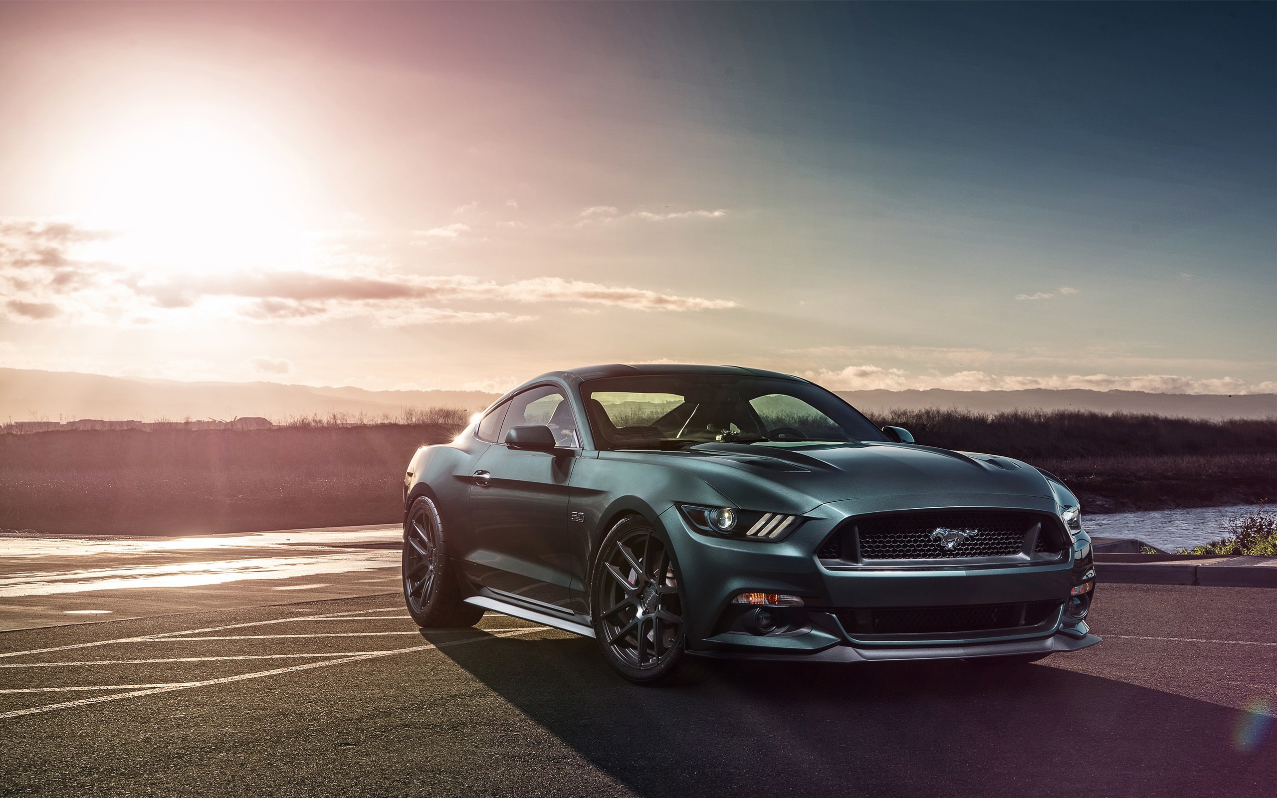 mustang hd wallpaper,land vehicle,vehicle,car,automotive design,performance car