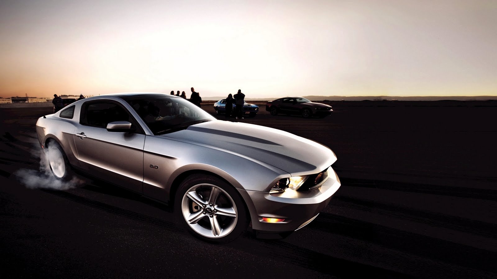 mustang hd wallpaper,land vehicle,vehicle,car,motor vehicle,hood