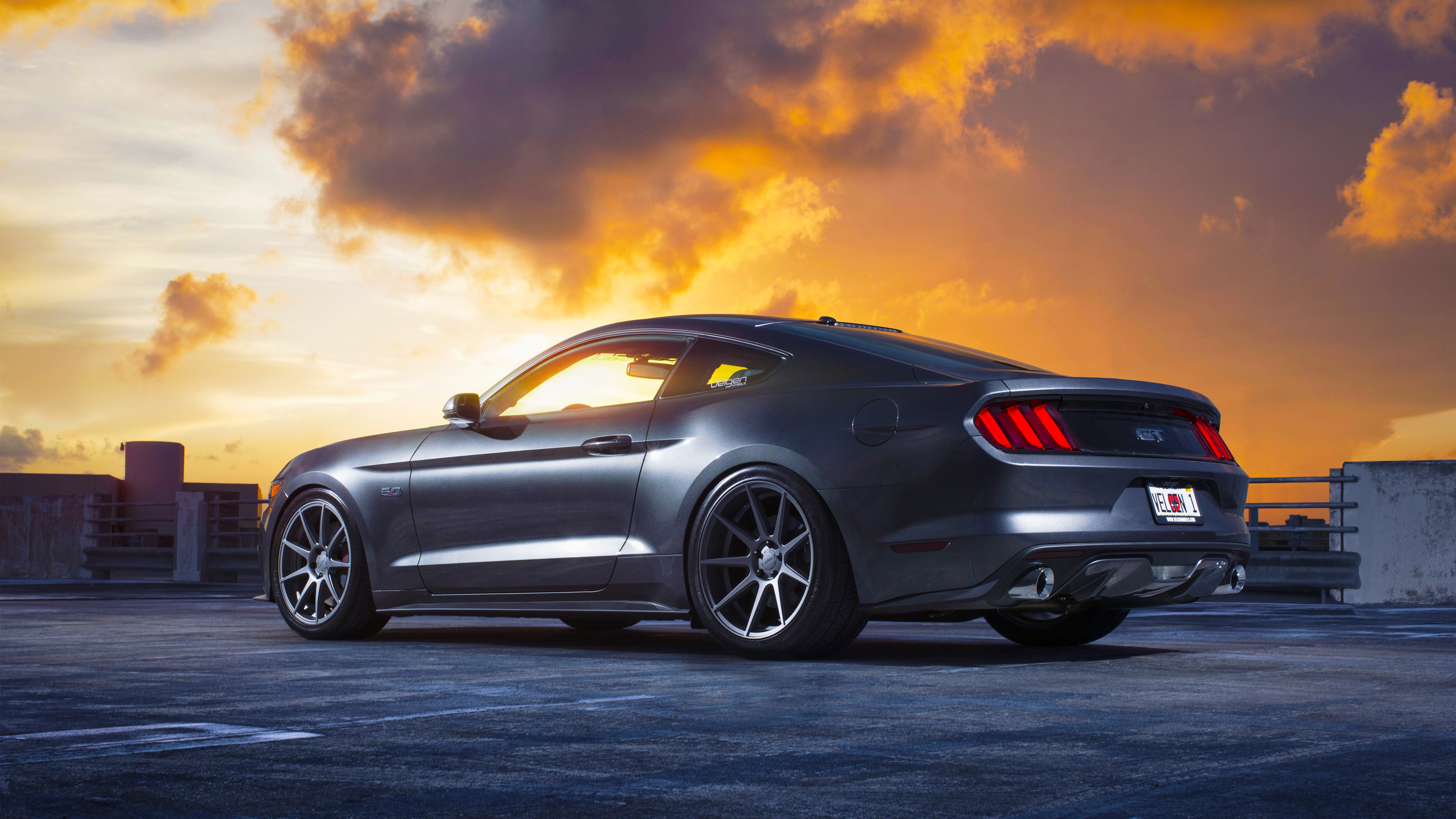 mustang hd wallpaper,land vehicle,vehicle,car,automotive design,muscle car