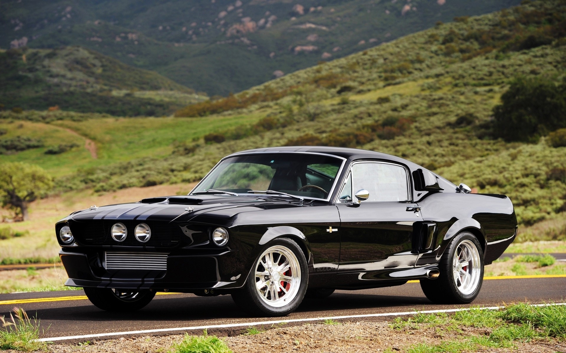 mustang hd wallpaper,land vehicle,vehicle,car,regularity rally,muscle car