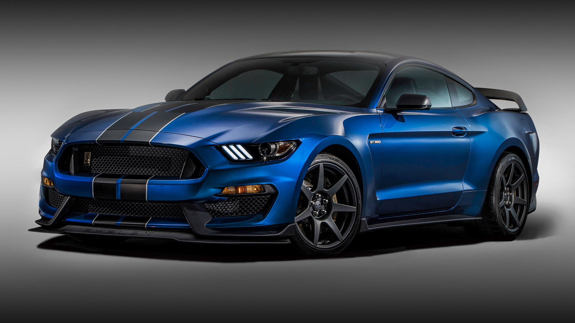 mustang hd wallpaper,land vehicle,vehicle,car,shelby mustang,automotive design