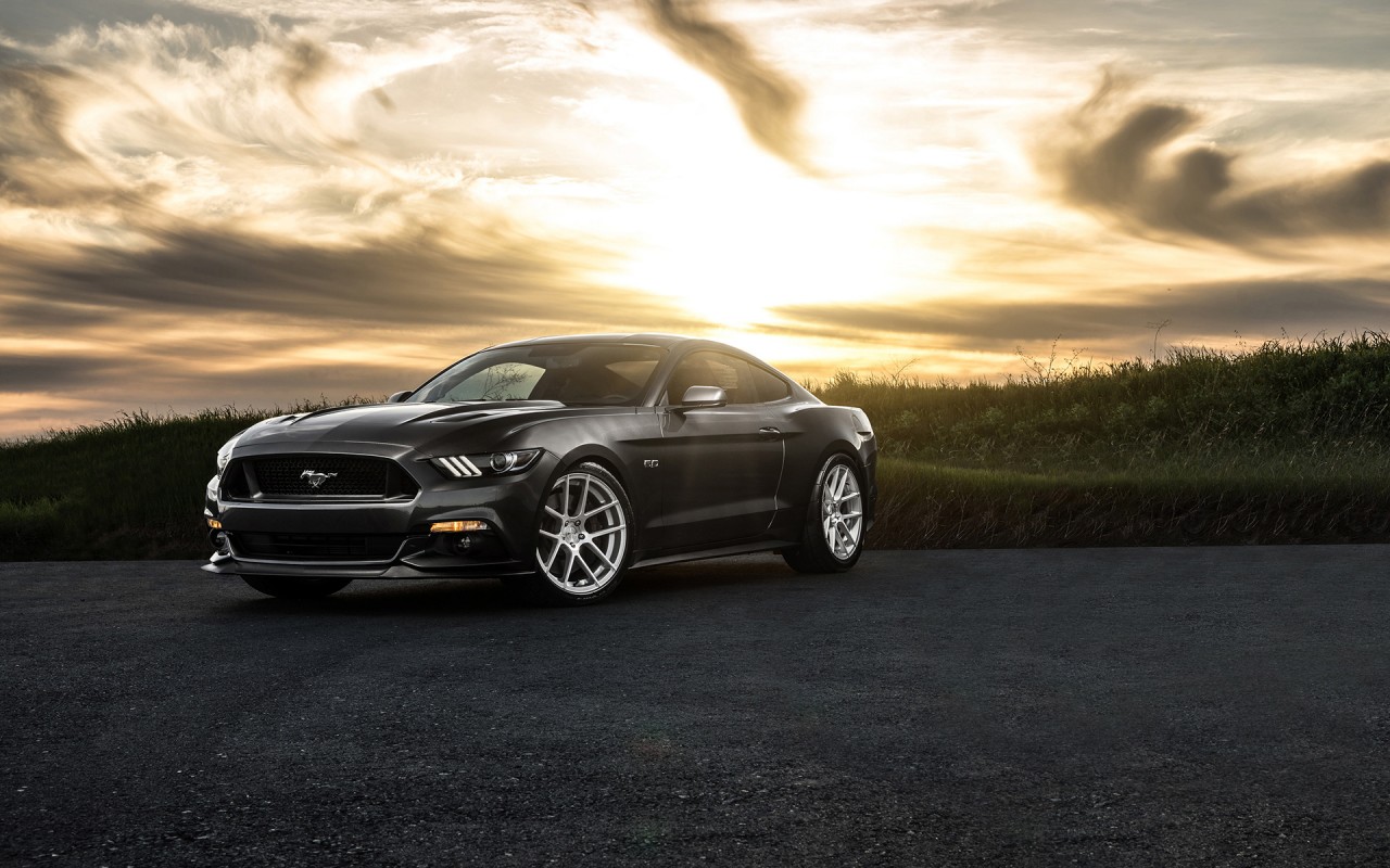 mustang hd wallpaper,land vehicle,vehicle,car,automotive design,performance car