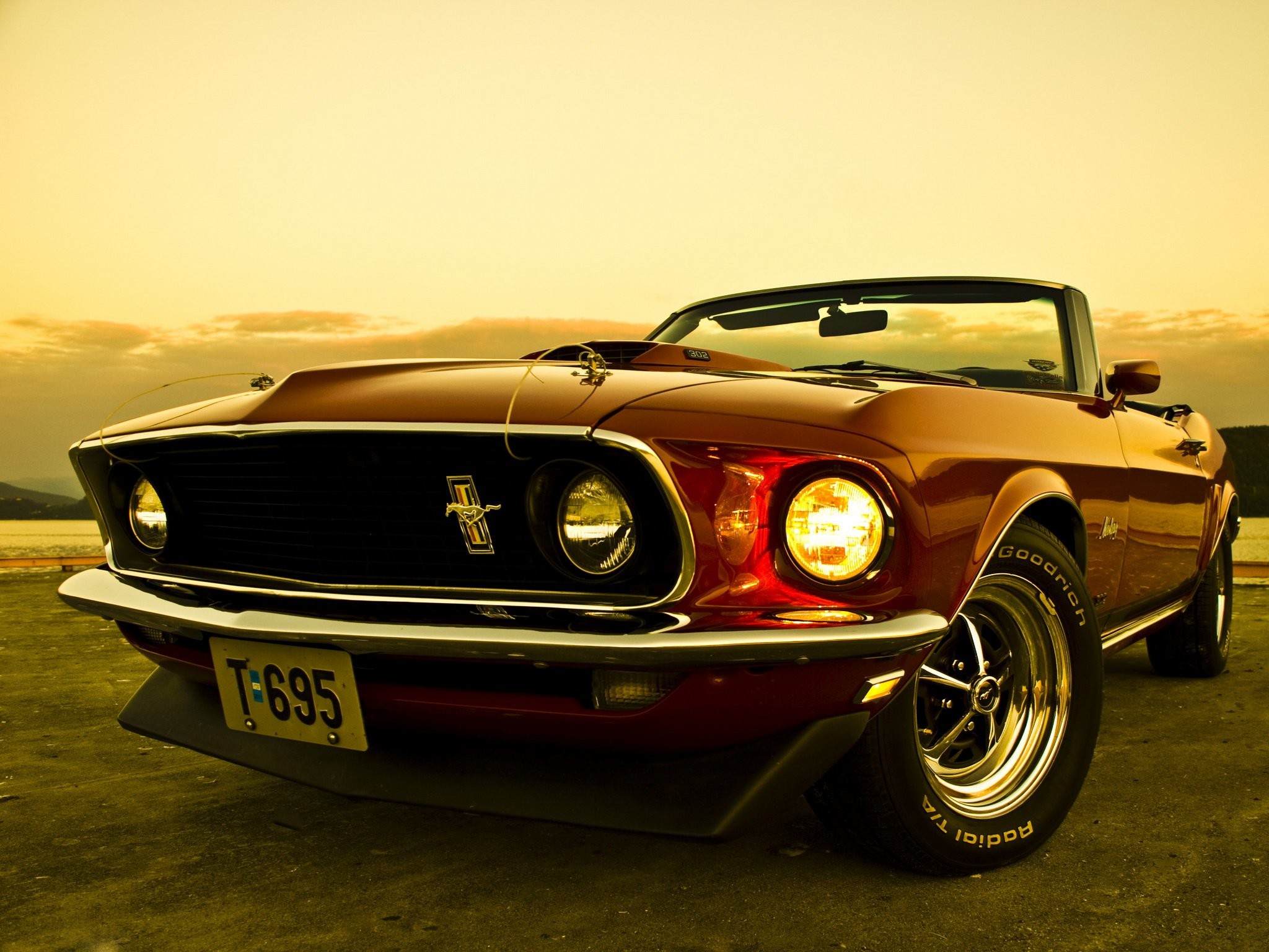 mustang hd wallpaper,landfahrzeug,fahrzeug,auto,kraftfahrzeug,muscle car