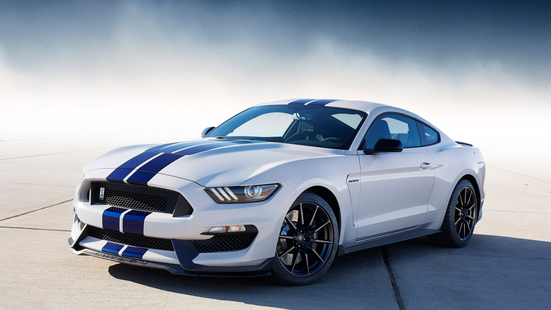 mustang hd wallpaper,land vehicle,vehicle,car,shelby mustang,automotive design