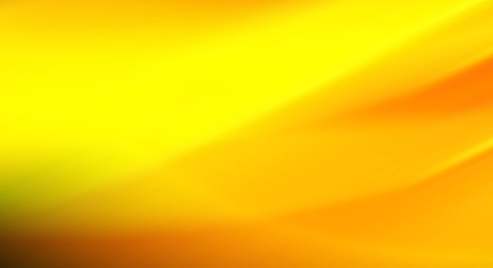 carta da parati amarillo,giallo,arancia,verde,ambra,macrofotografia