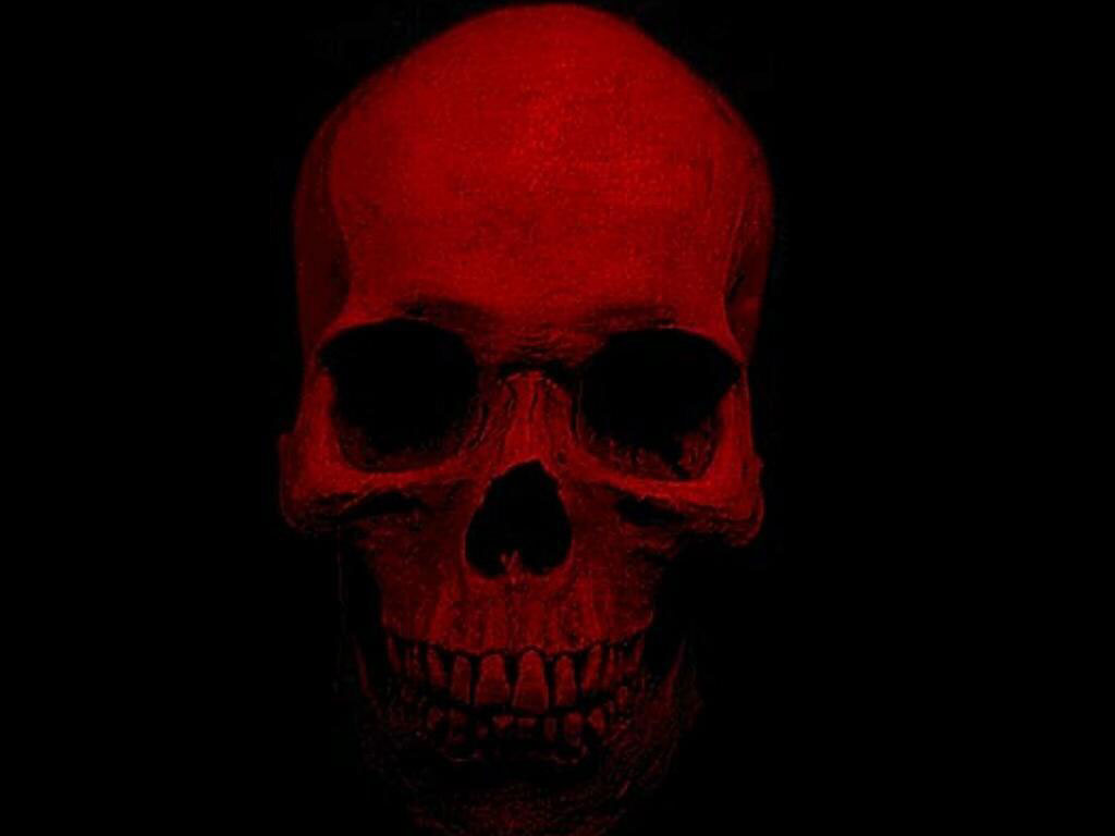 fondo de pantalla de calaveras,cráneo,hueso,rojo,cabeza,gafas