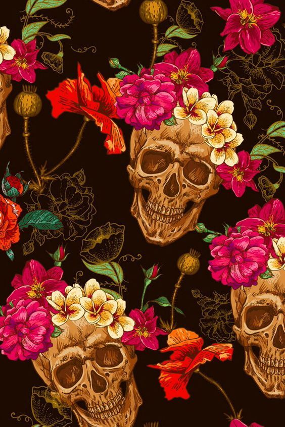 carta da parati calaveras,fiore,rosa,illustrazione,pianta,natura morta
