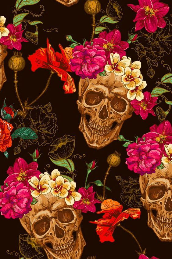 calaveras tapete,blume,rosa,illustration,pflanze,stillleben