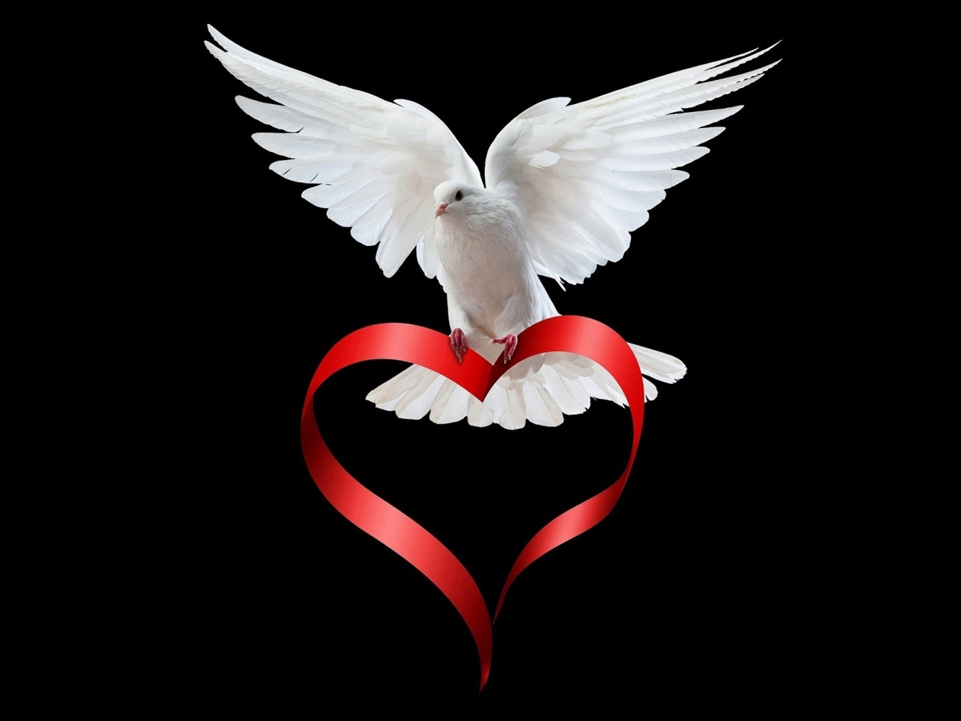 hd love wallpaper download for android,wing,red,love,heart,emblem