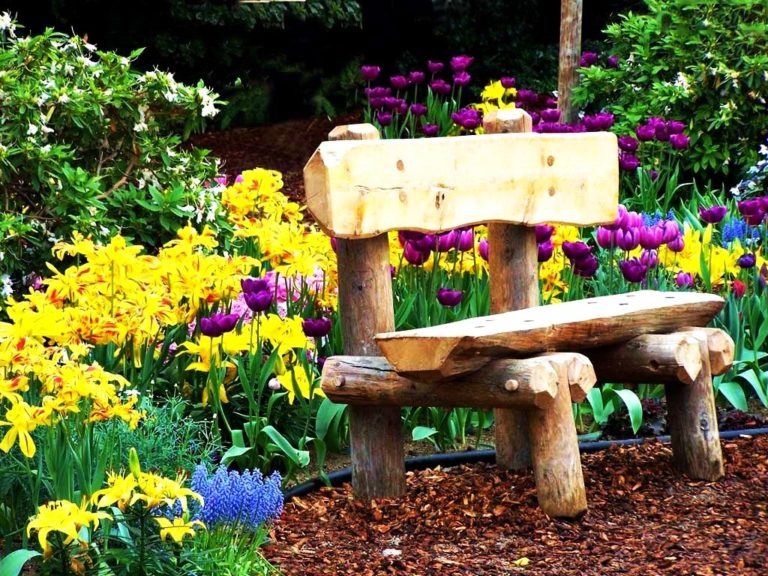 hd love wallpaper download for android,garden,nature,bench,flower,yard