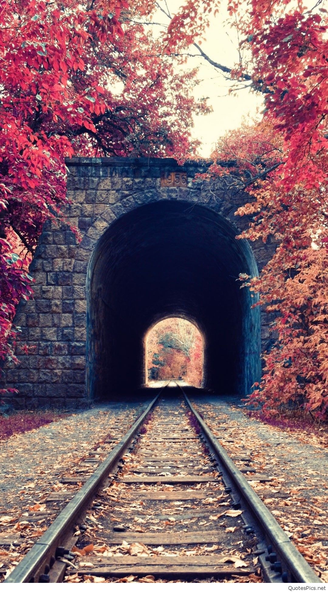 tumblrの壁紙,トンネル,葉,追跡,アーチ,木