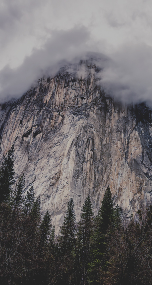 tumblr에 대한 월페이퍼,하늘,산,나무,구름,산맥