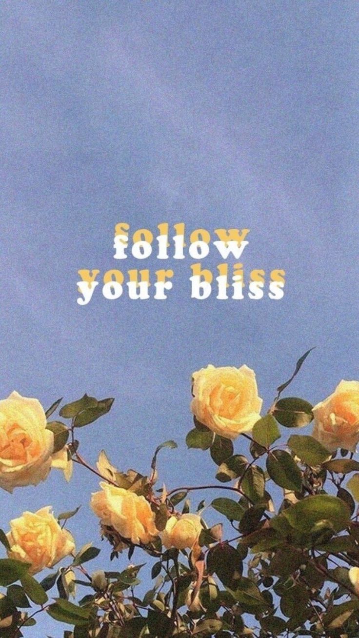 carta da parati tumblr vintage,julia child rose,fiore,giallo,rosa,pianta