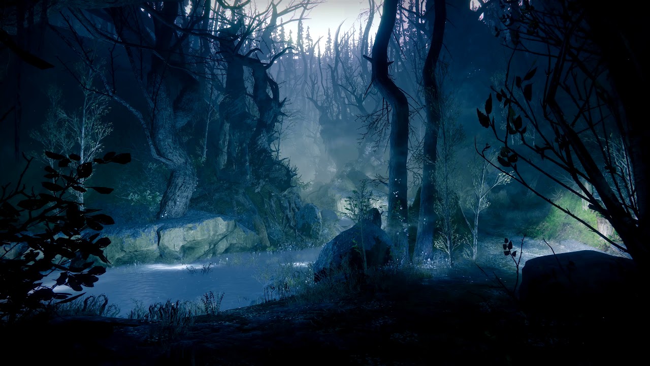 fondo de pantalla de bosque oscuro,naturaleza,paisaje natural,bosque,captura de pantalla,cielo