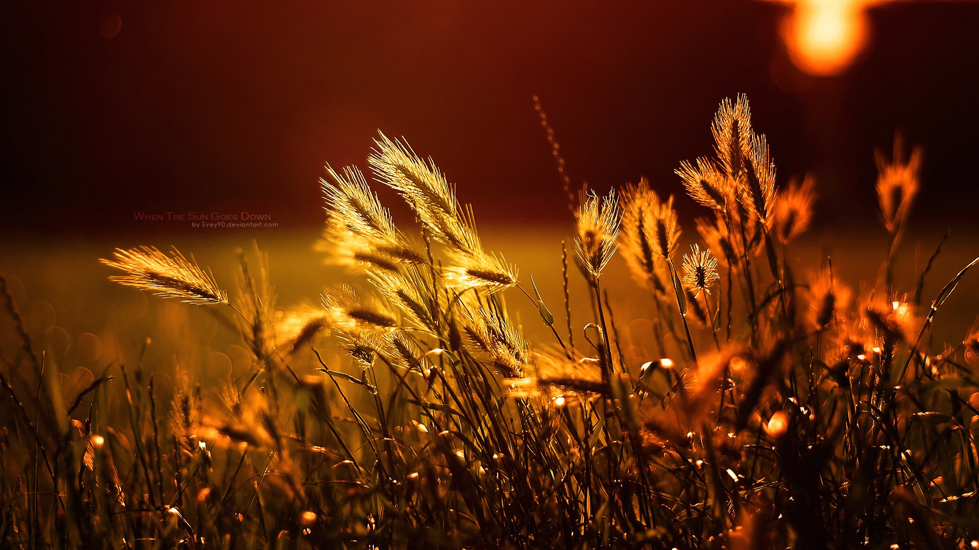 fonds d'écran d'affichage de la rétine,la nature,ciel,herbe,lumière,chaleur