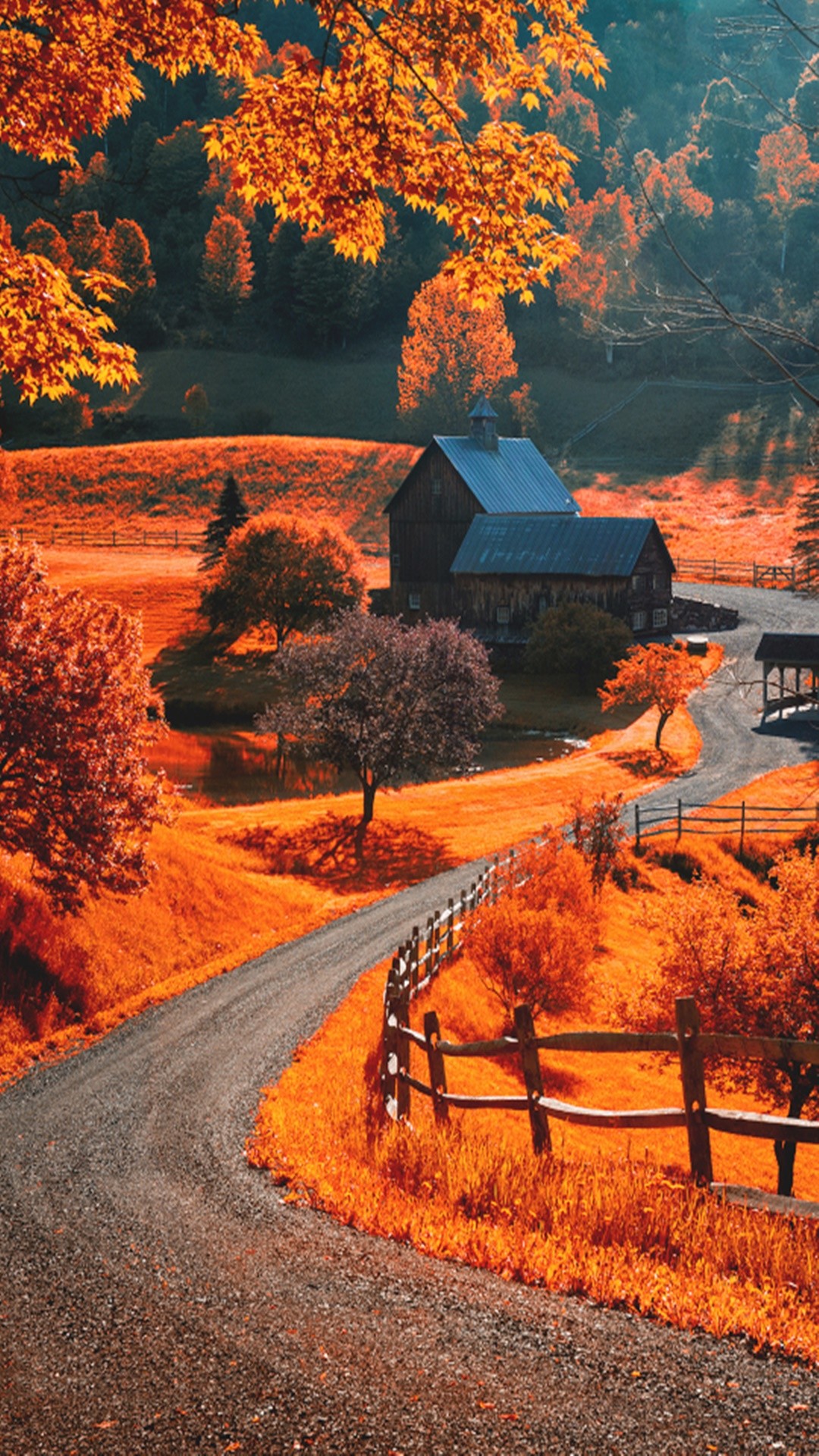 otoño fondo de pantalla para iphone,paisaje natural,naturaleza,árbol,cielo,hoja