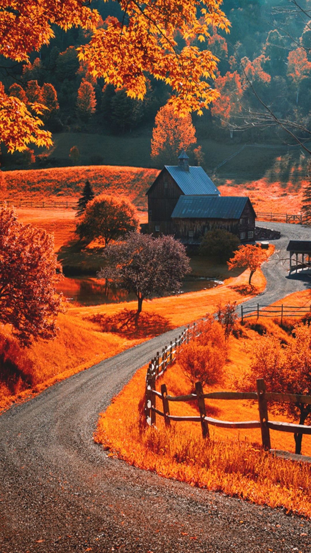 herbst iphone wallpaper,natürliche landschaft,natur,baum,himmel,blatt