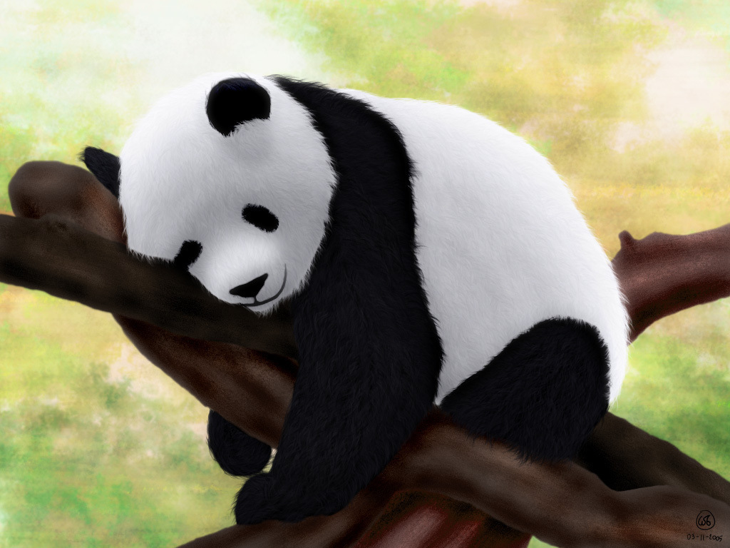 fond d'écran mignon panda,panda,animal terrestre,ours,museau,arbre
