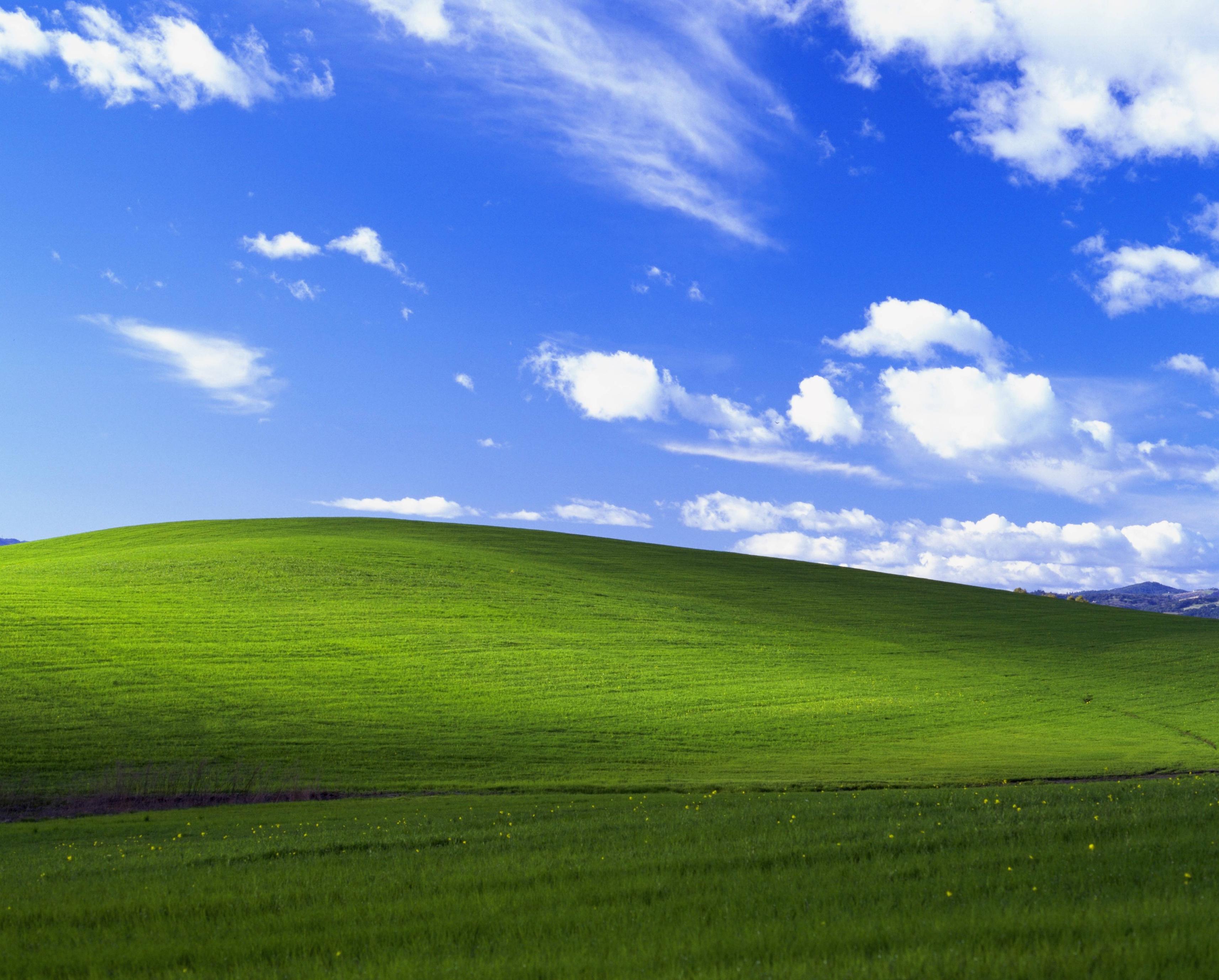 windows 95 wallpaper,wiese,grün,himmel,natürliche landschaft,natur