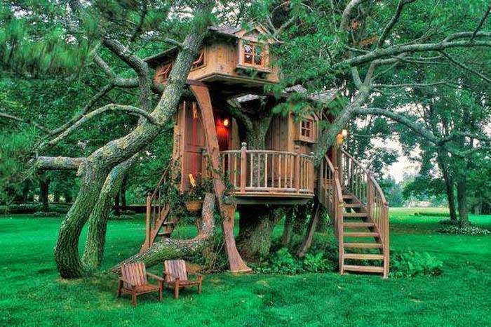 beautiful wallpapers for facebook profile,tree house,tree,jungle,house,botany