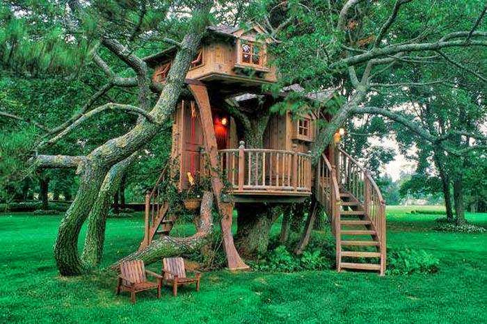 beaux fonds d'écran pour le profil facebook,cabane dans les arbres,arbre,jungle,maison,forêt tropicale